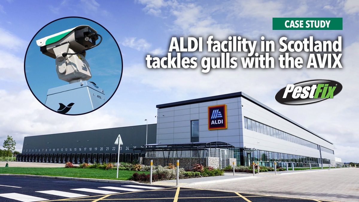aldi-scotland-gulls-pestfix-avix-hero aldi-scotland-gulls-pestfix-avix-hero